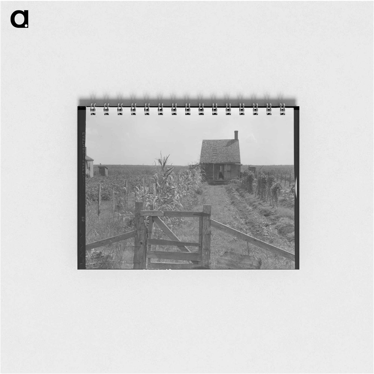 アートメモ帳-Cabins in the sugarcane country - ドロテア ラング Memo.