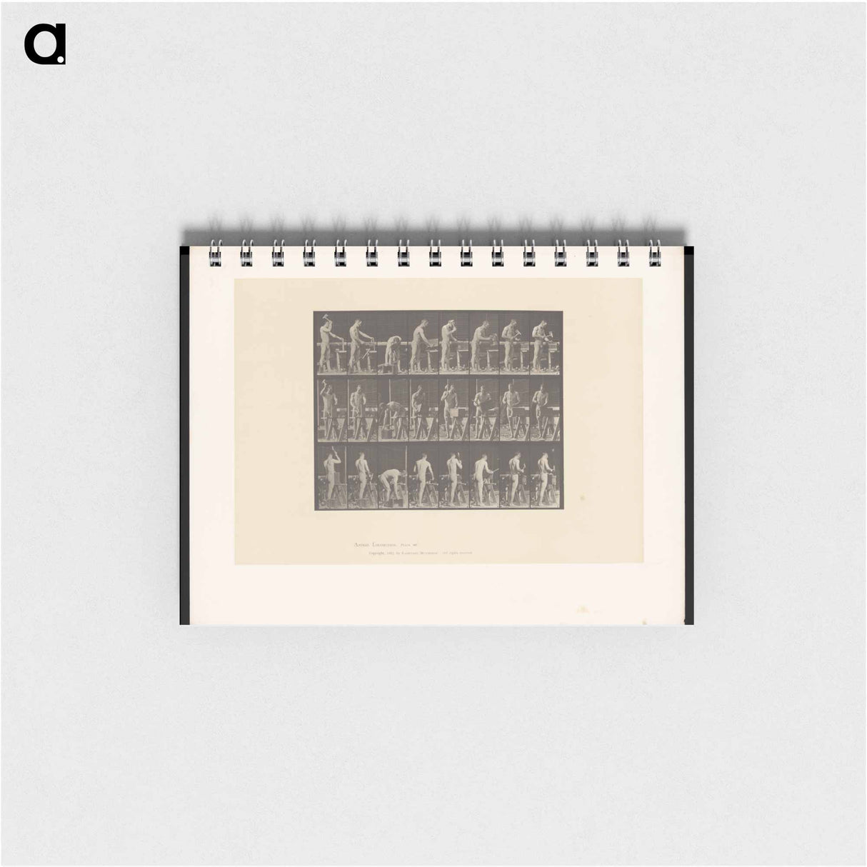 アートメモ帳-Man at Work
- エドワード マイブリッジ Memo.