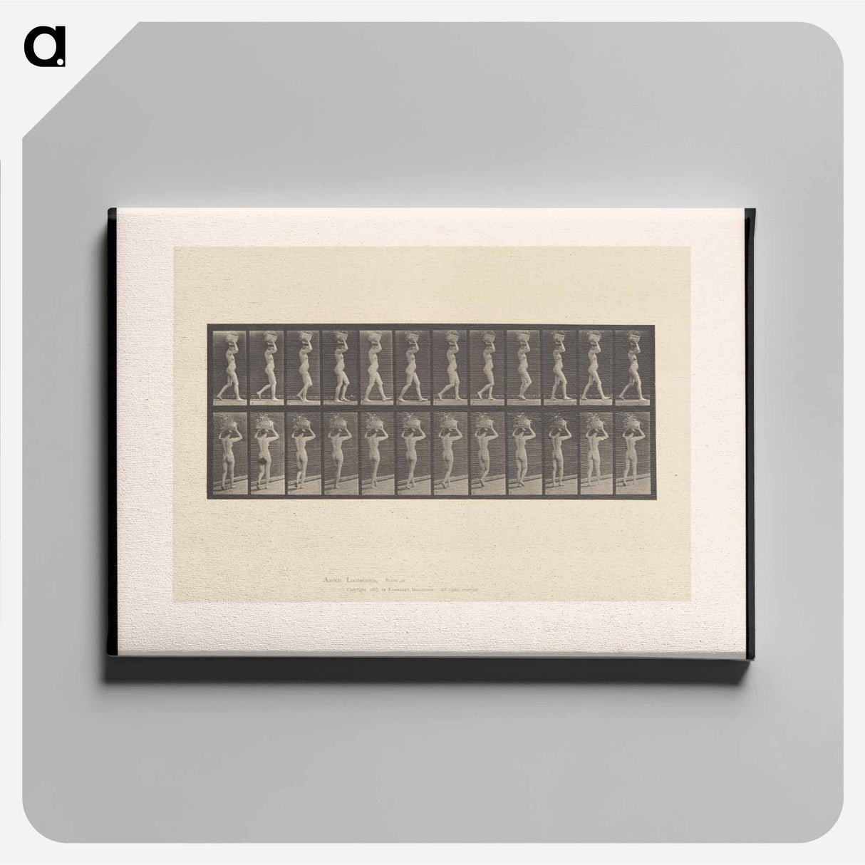 アートパネル-Woman with Load
- エドワード マイブリッジ Canvas.