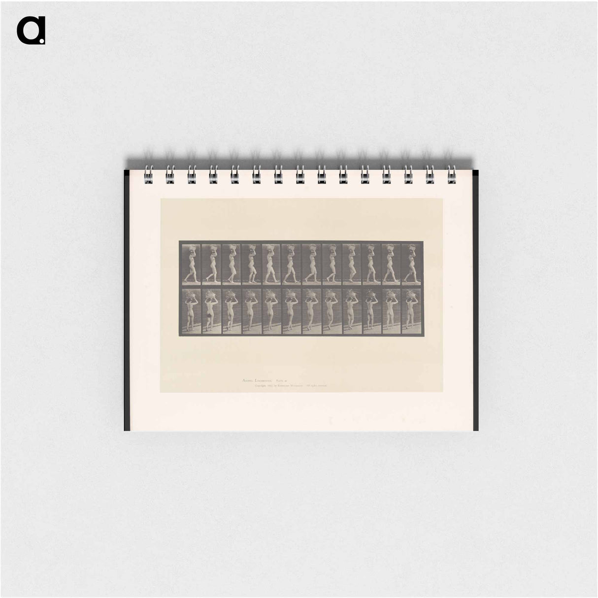 アートメモ帳-Woman with Load
- エドワード マイブリッジ Memo.