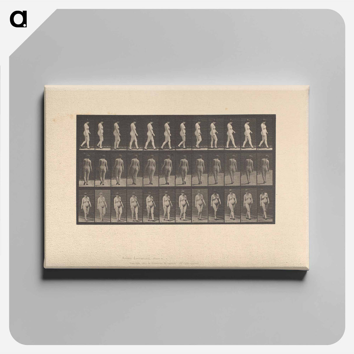 アートパネル-Naked Woman Walking
- エドワード マイブリッジ Canvas.