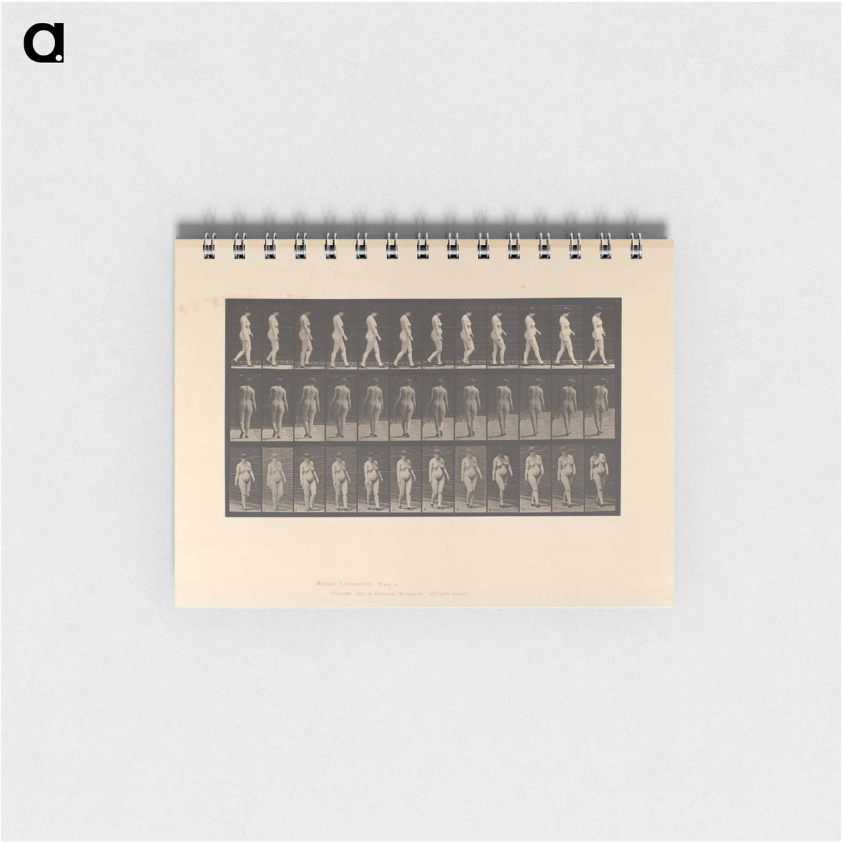 アートメモ帳-Naked Woman Walking
- エドワード マイブリッジ Memo.