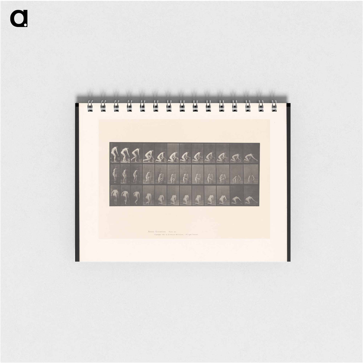 アートメモ帳-Woman Washing Floor
- エドワード マイブリッジ Memo.