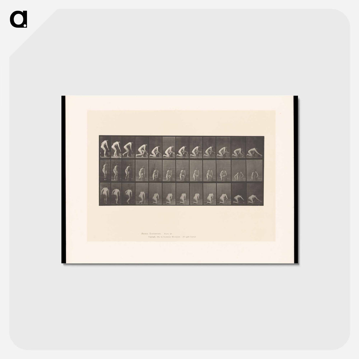 アートポストカード-Woman Washing Floor
- エドワード マイブリッジ Postcard.