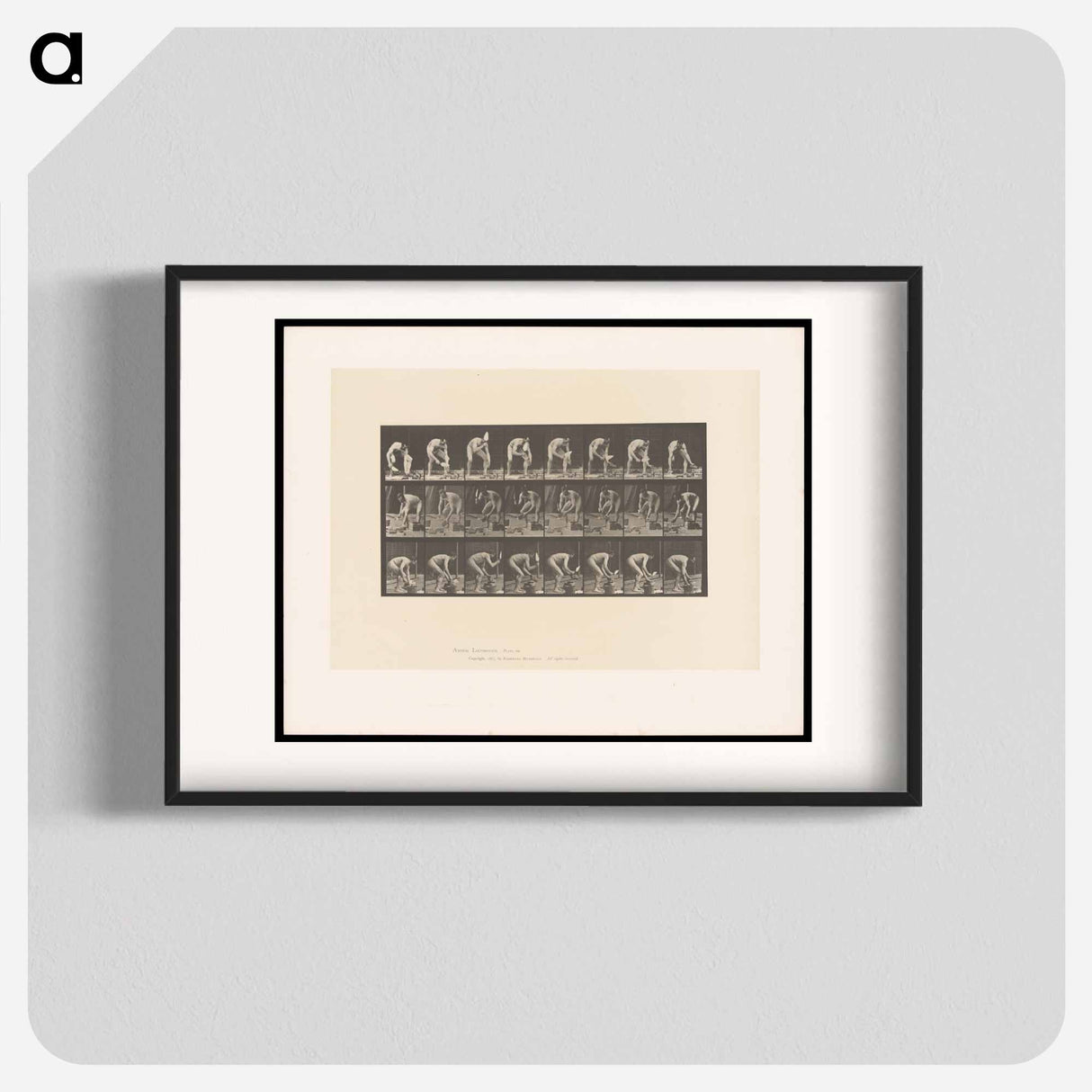 アートポスター-Brick-Layer
- エドワード マイブリッジ Poster.