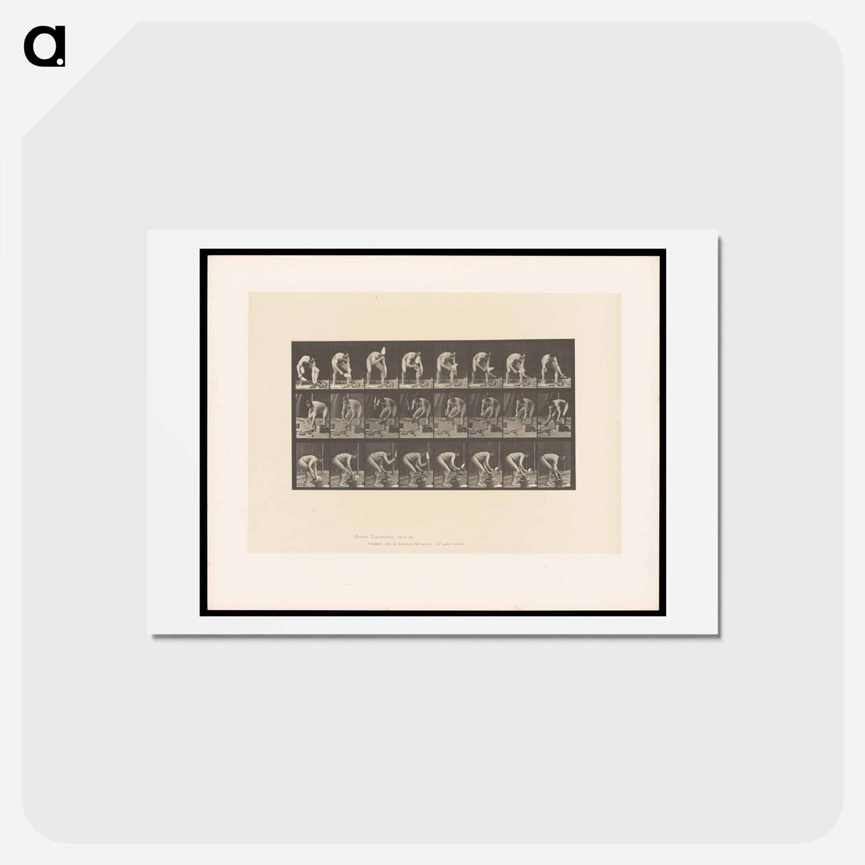 アートポストカード-Brick-Layer
- エドワード マイブリッジ Postcard.