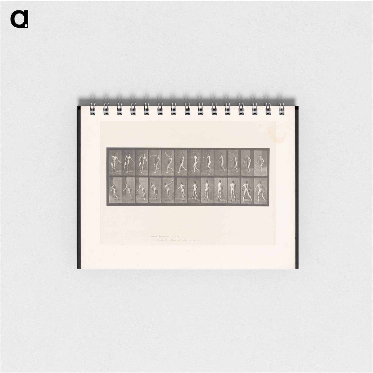 アートメモ帳-The Throw
- エドワード マイブリッジ Memo.