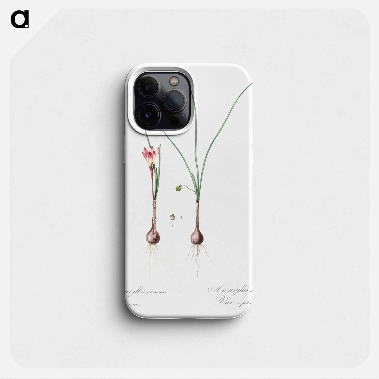 Atamasco lily illustration - Pierre Joseph Redouté Phone Case.