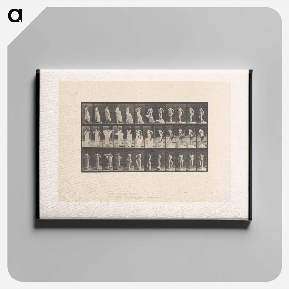 アートパネル-Undressing
- エドワード マイブリッジ Canvas.