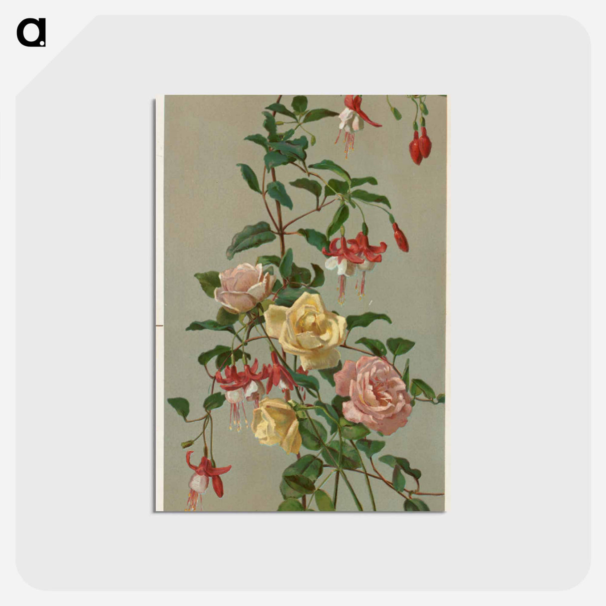 アートポストカード-Roses and Fuchsia
- ボストン公共図書館 Postcard.