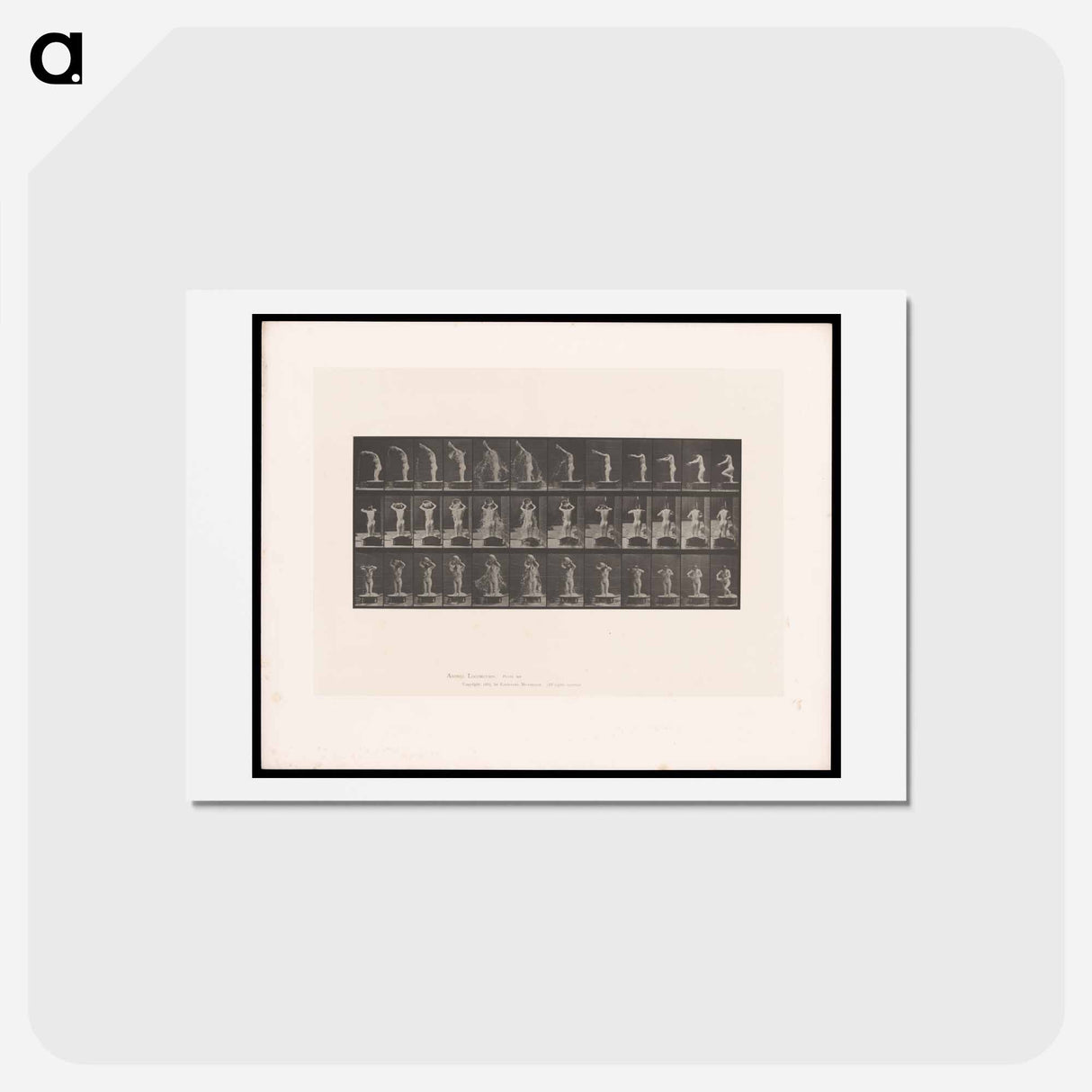 アートポストカード-Woman Bathing
- エドワード マイブリッジ Postcard.