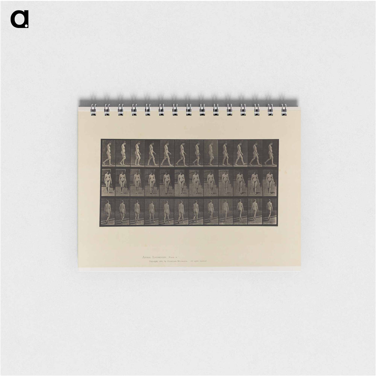 アートメモ帳-Naked Woman Walking
- エドワード マイブリッジ Memo.