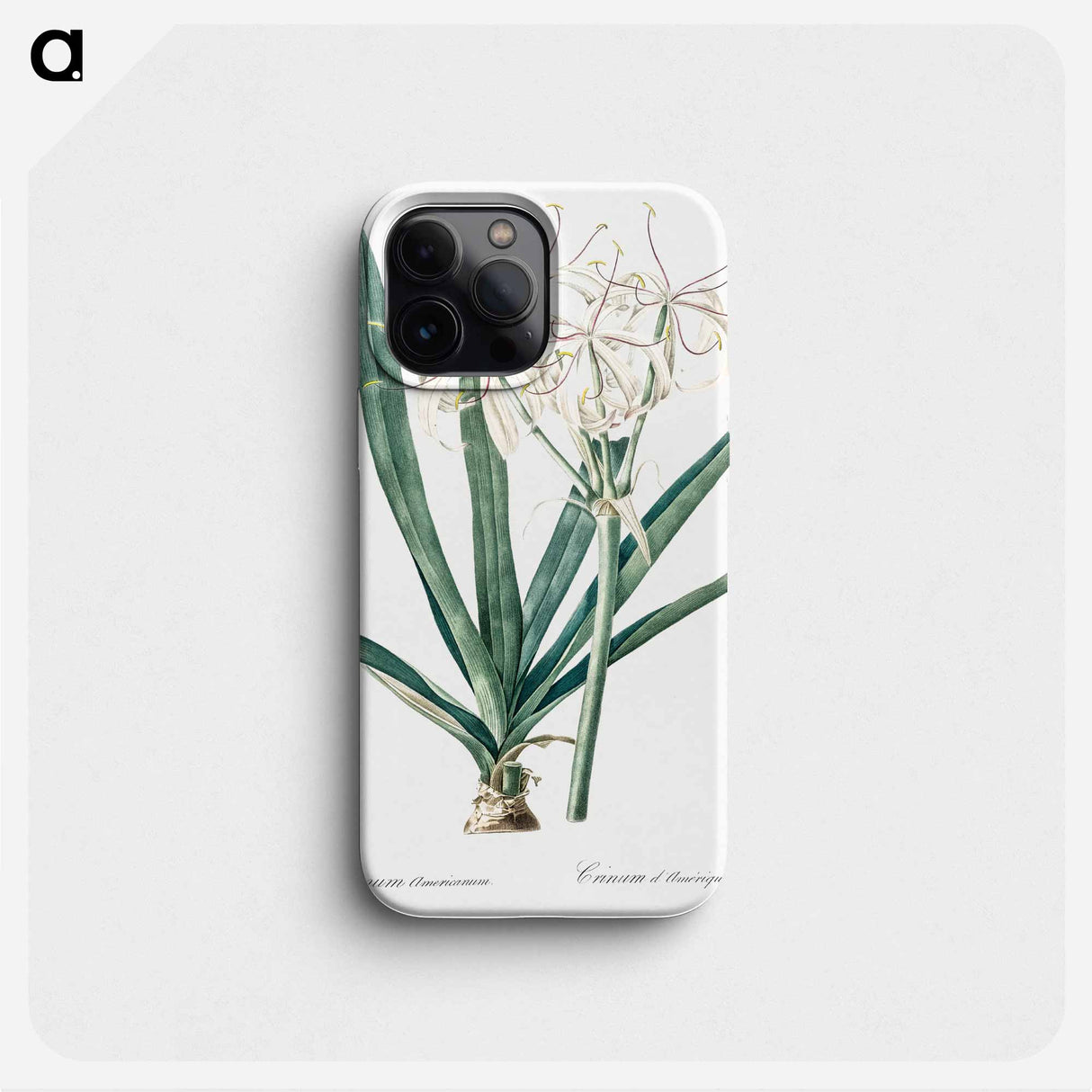 Florida swamp-lily illustration - Pierre Joseph Redouté Phone Case.