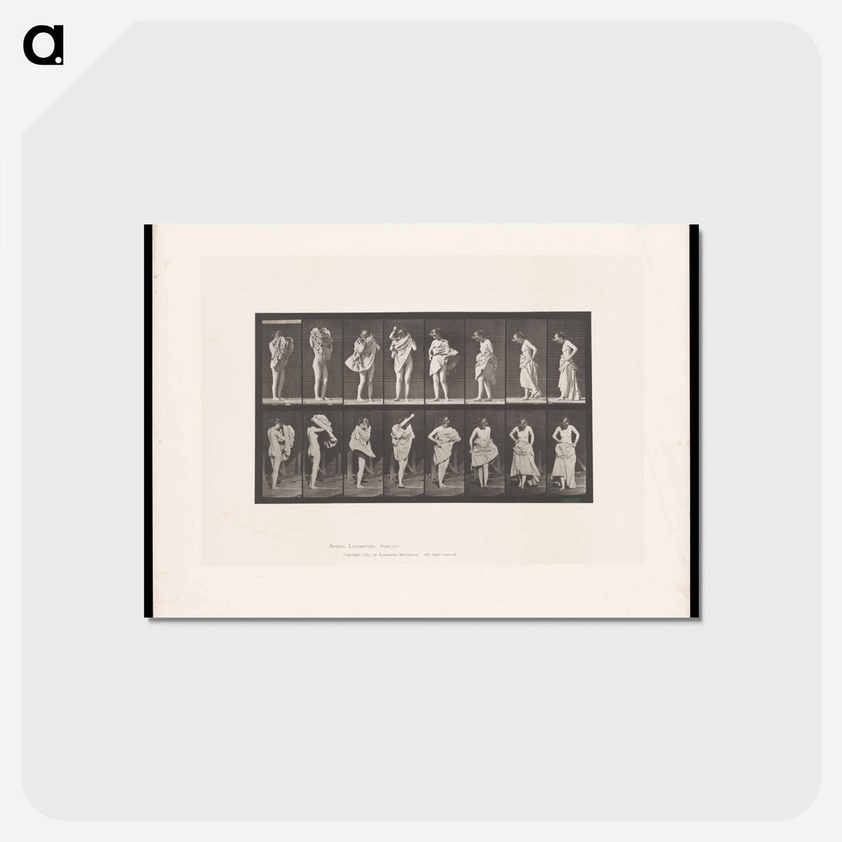 アートポストカード-Woman Putting on a Dress
- エドワード マイブリッジ Postcard.