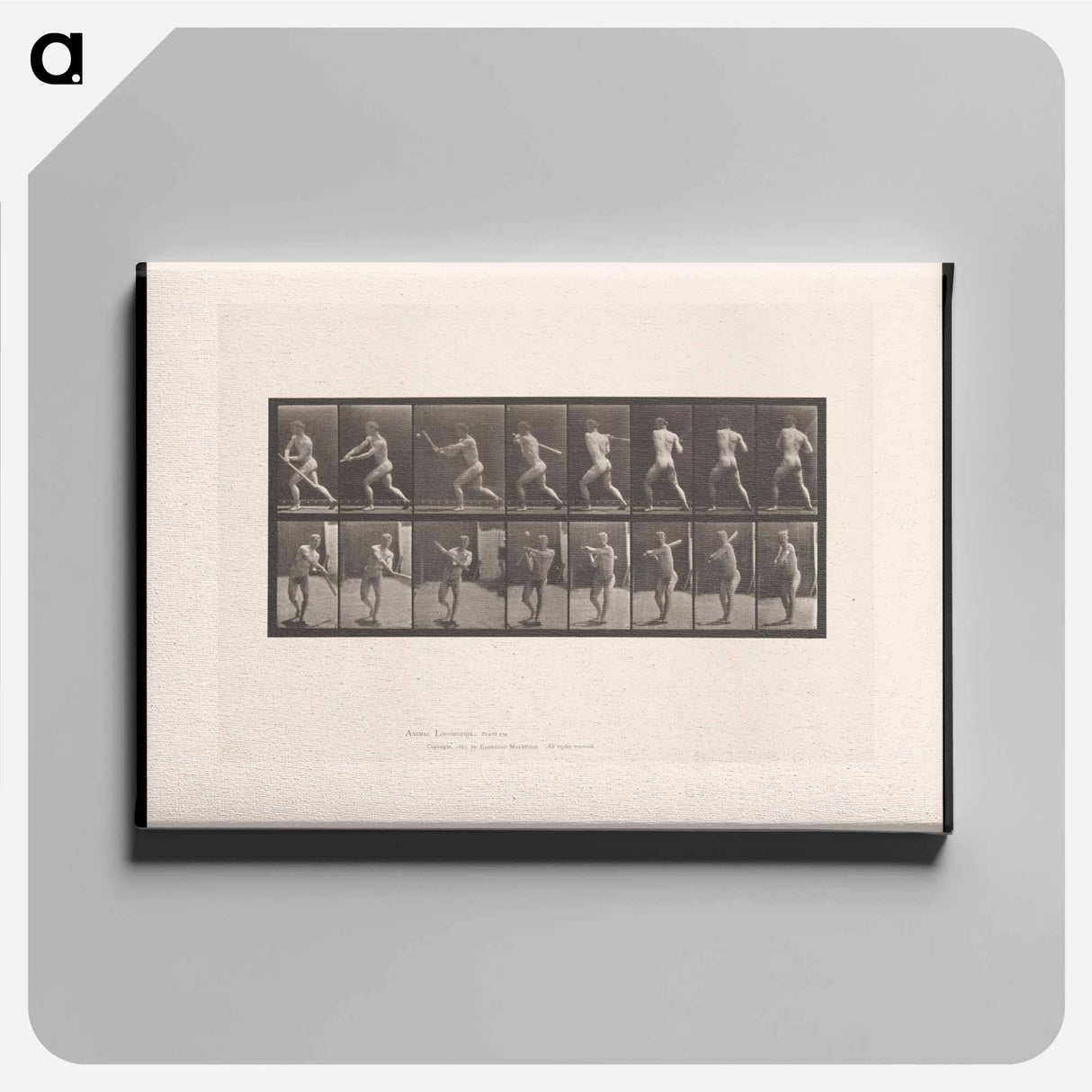 アートパネル-Baseball Swing
- エドワード マイブリッジ Canvas.