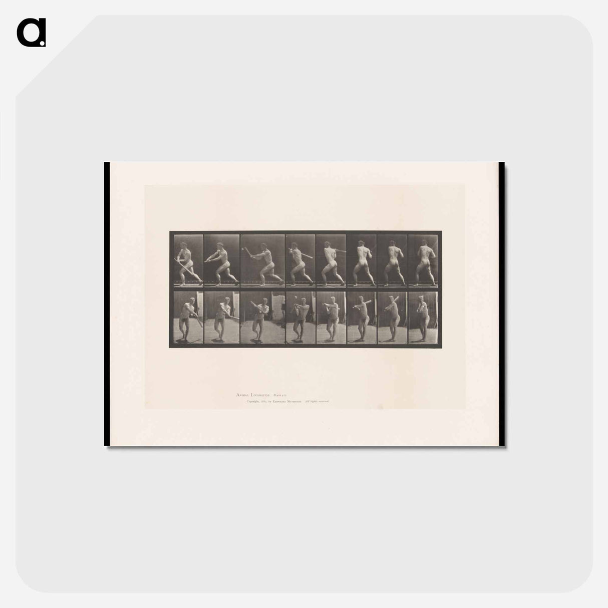 アートポストカード-Baseball Swing
- エドワード マイブリッジ Postcard.