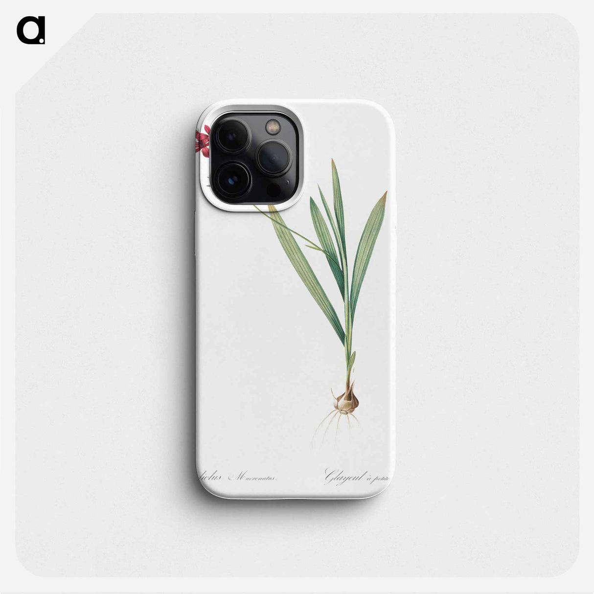 Gladiolus mucronatus illustration - Pierre Joseph Redouté Phone Case.