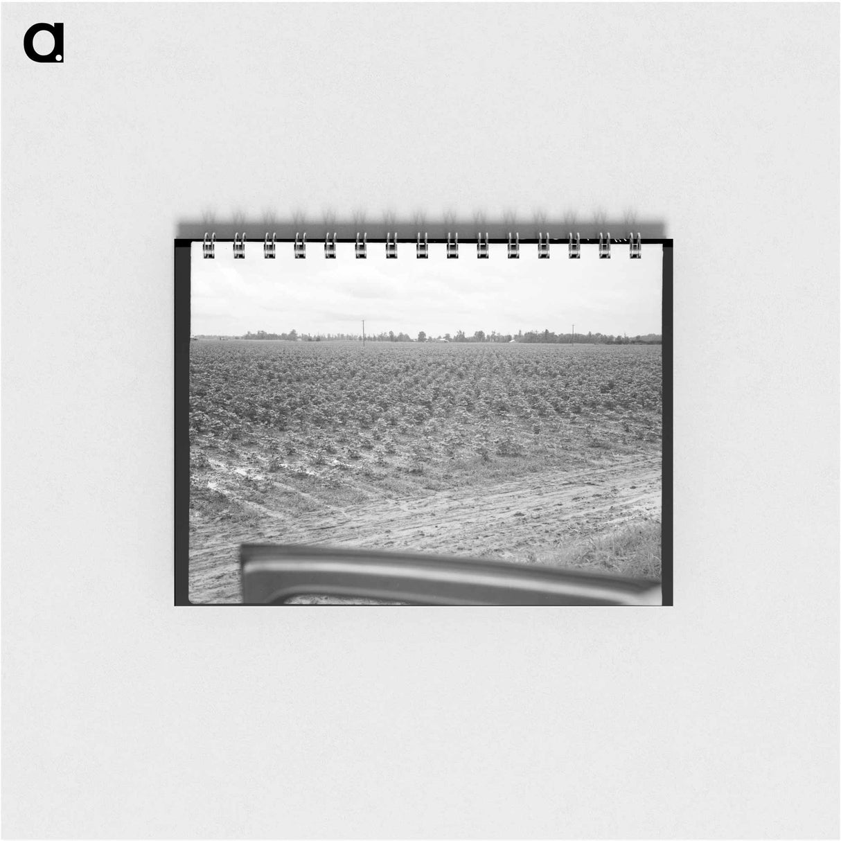 アートメモ帳-Check row planting of cotton - ドロテア ラング Memo.