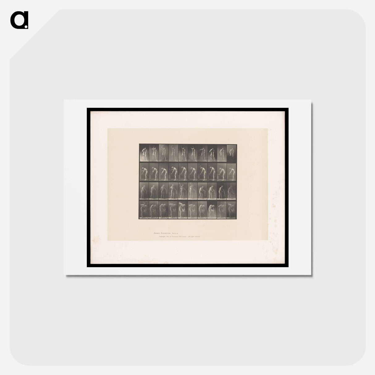 アートポストカード-The Blacksmith
- エドワード マイブリッジ Postcard.