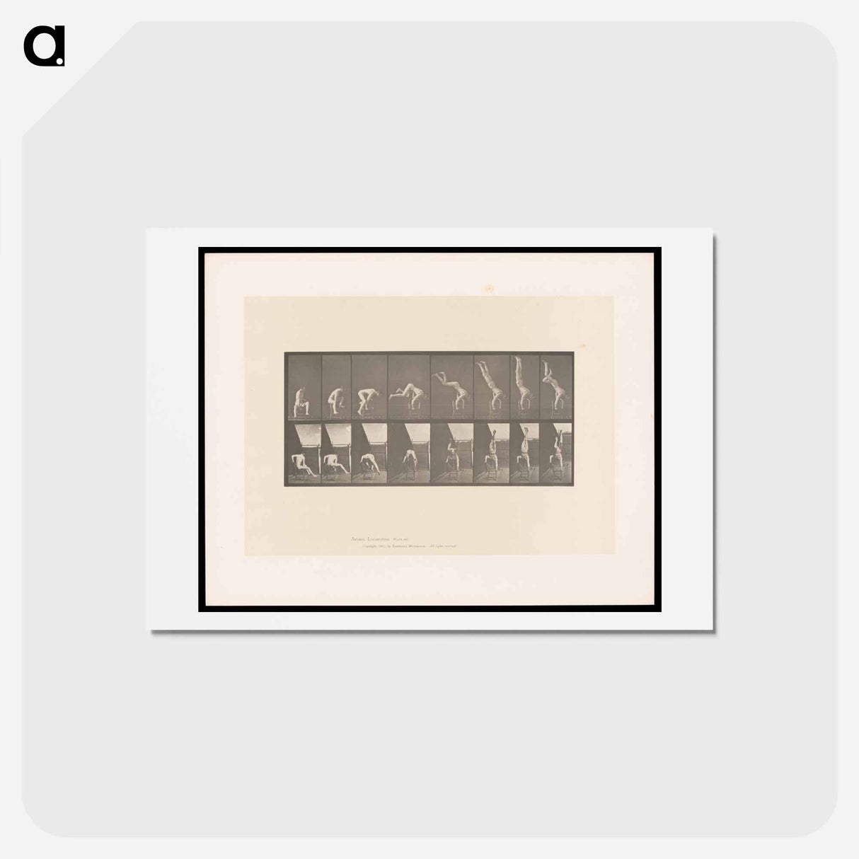 アートポストカード-Handstand on Chair
- エドワード マイブリッジ Postcard.