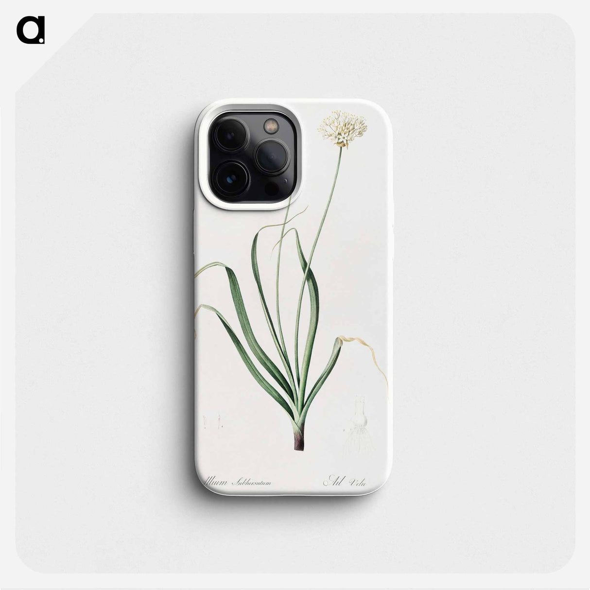 Hairy garlic illustration - Pierre Joseph Redouté Phone Case.