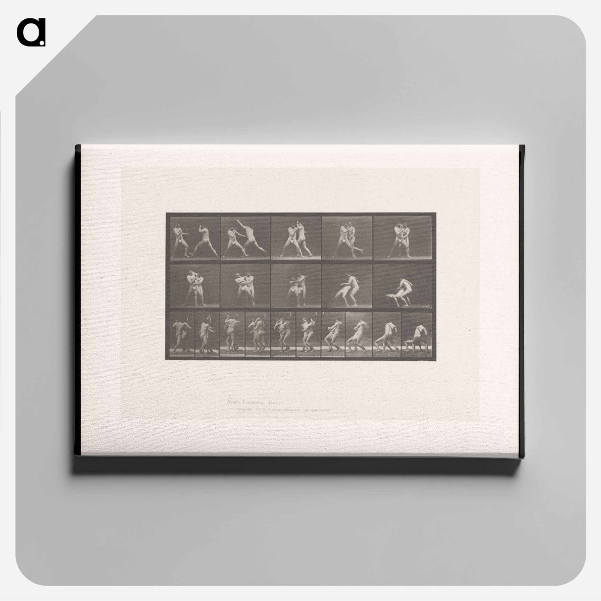 アートパネル-Wrestling Men
- エドワード マイブリッジ Canvas.