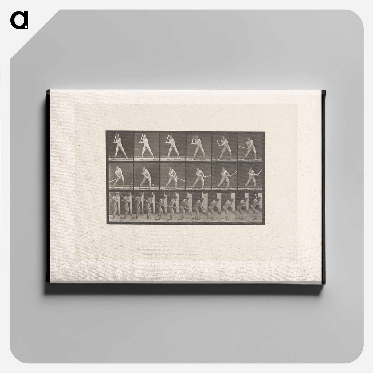 アートパネル-Baseball Player
- エドワード マイブリッジ Canvas.