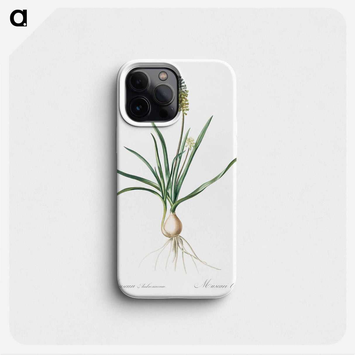 Muscari ambrosiacum illustration - Pierre Joseph Redouté Phone Case.