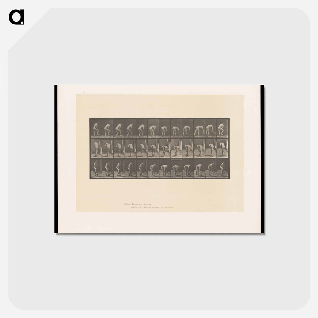 アートポストカード-The Spademan
- エドワード マイブリッジ Postcard.