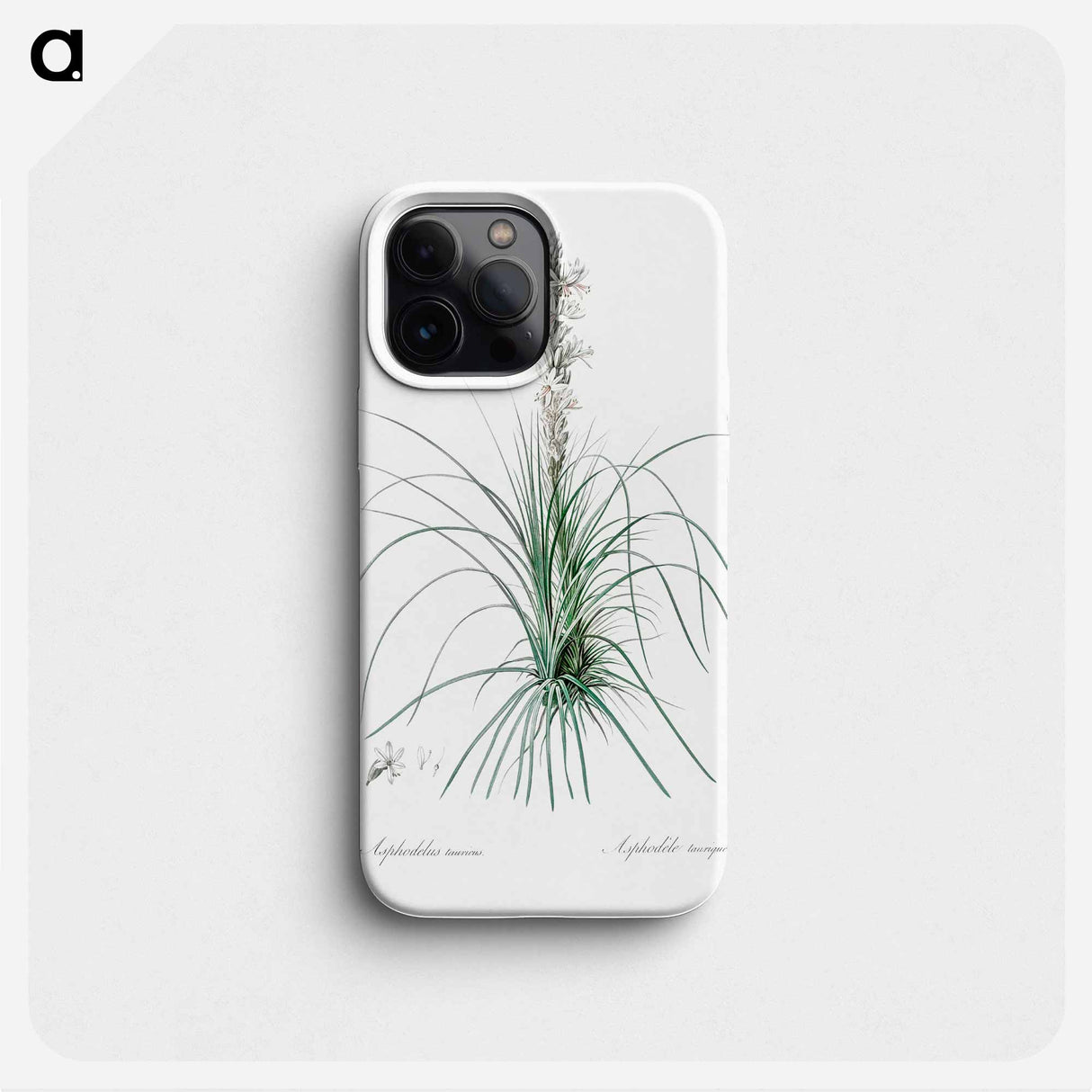 Thin asphodeline illustration - Pierre Joseph Redouté Phone Case.