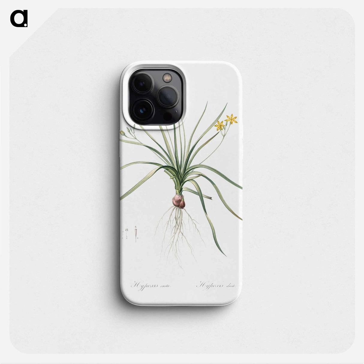 Common goldstar illustration - Pierre Joseph Redouté Phone Case.