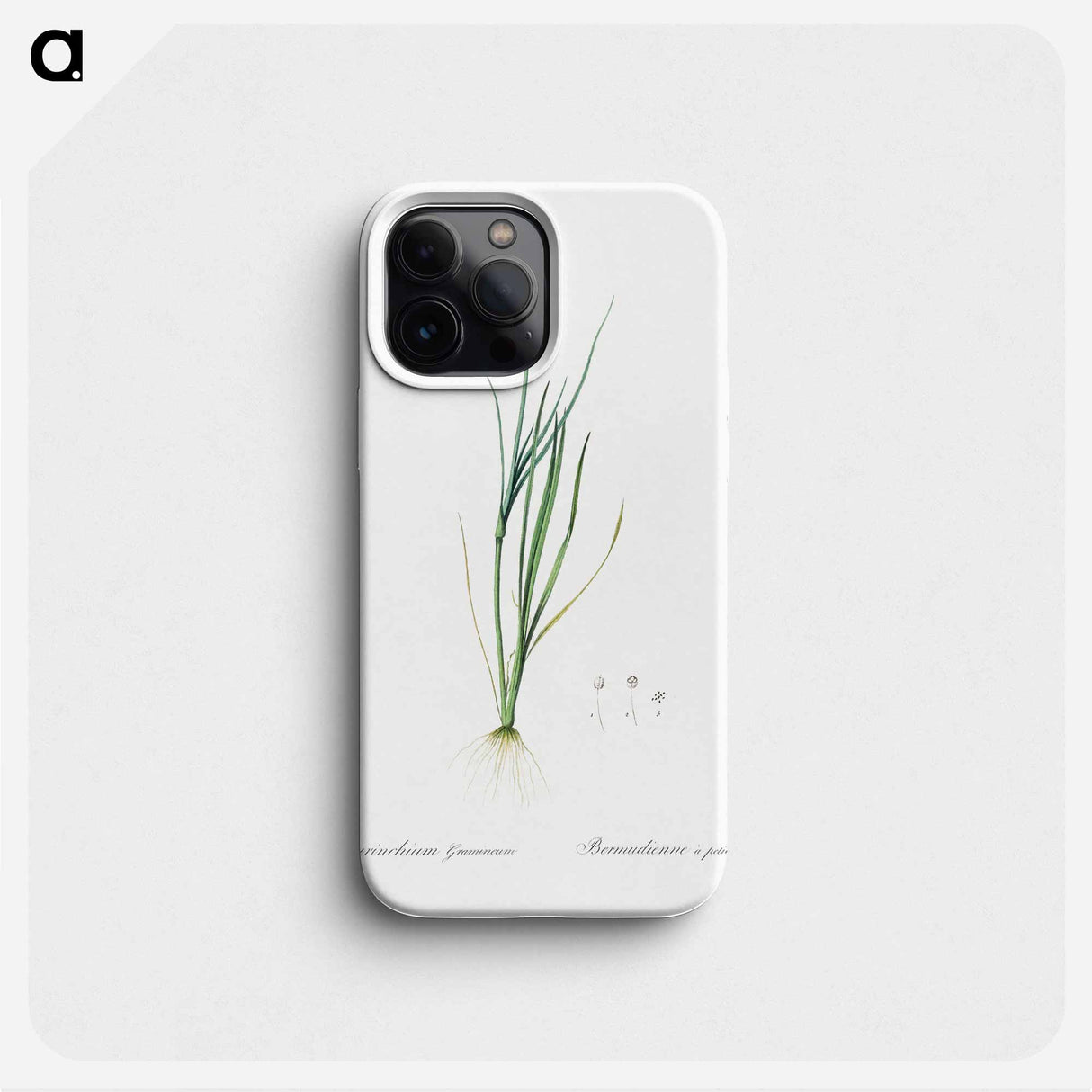 Narrow-leaf blue-eyed-grass illustration - Pierre Joseph Redouté Phone Case.