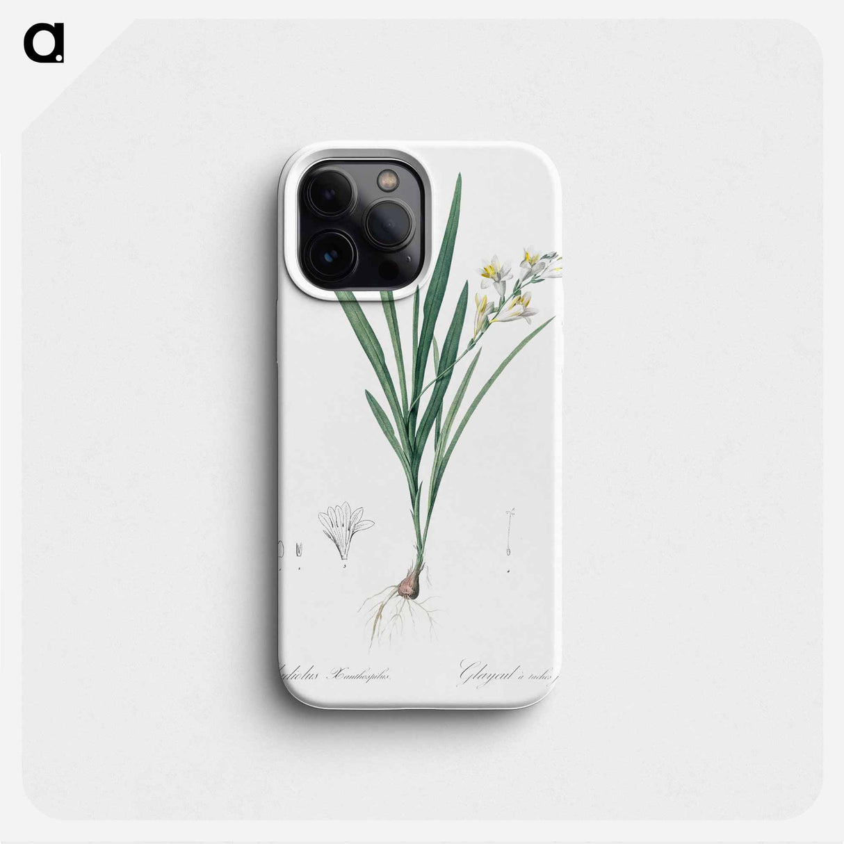 Gladiolus Xanthospilus - Pierre Joseph Redouté Phone Case.
