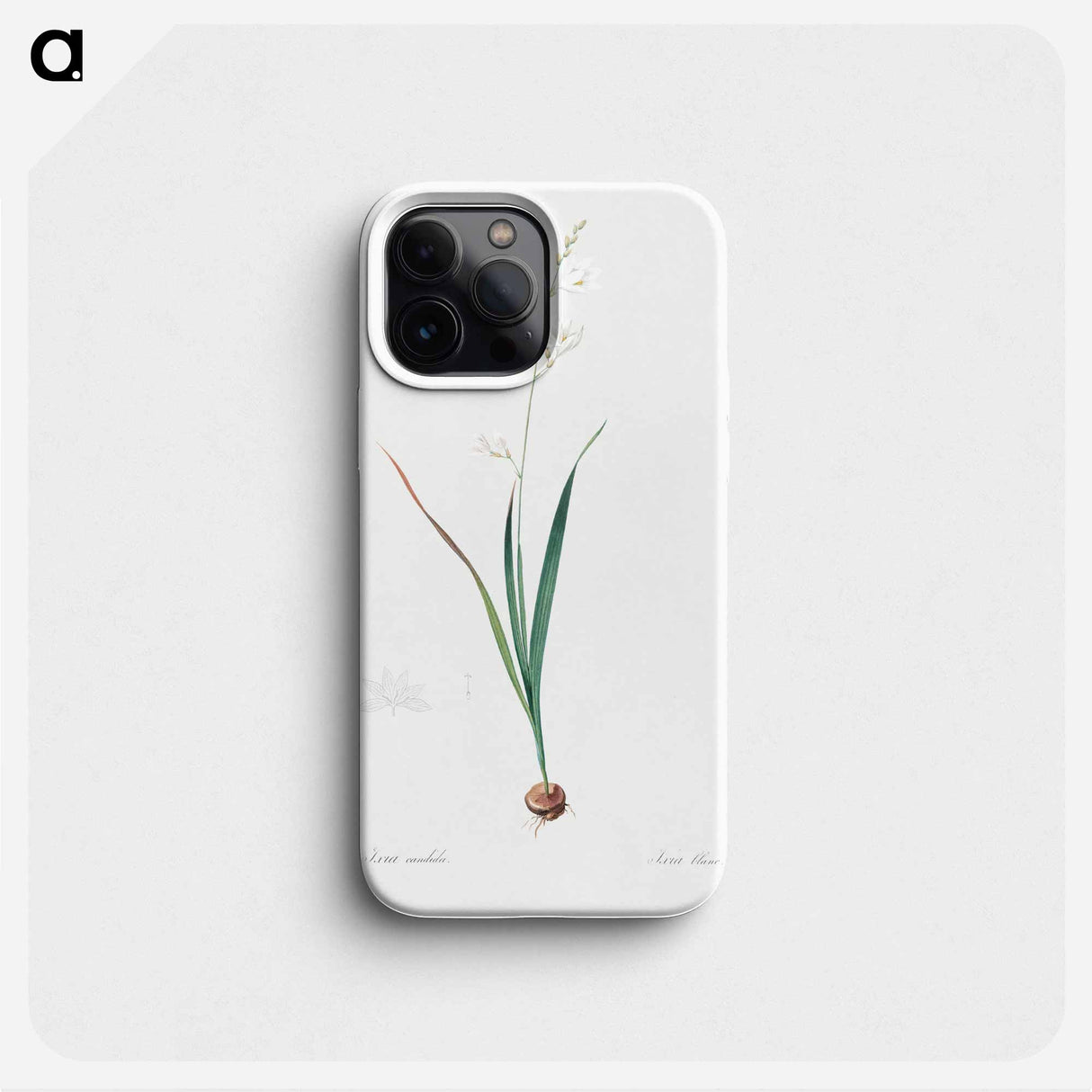Corn lily illustration - Pierre Joseph Redouté Phone Case.