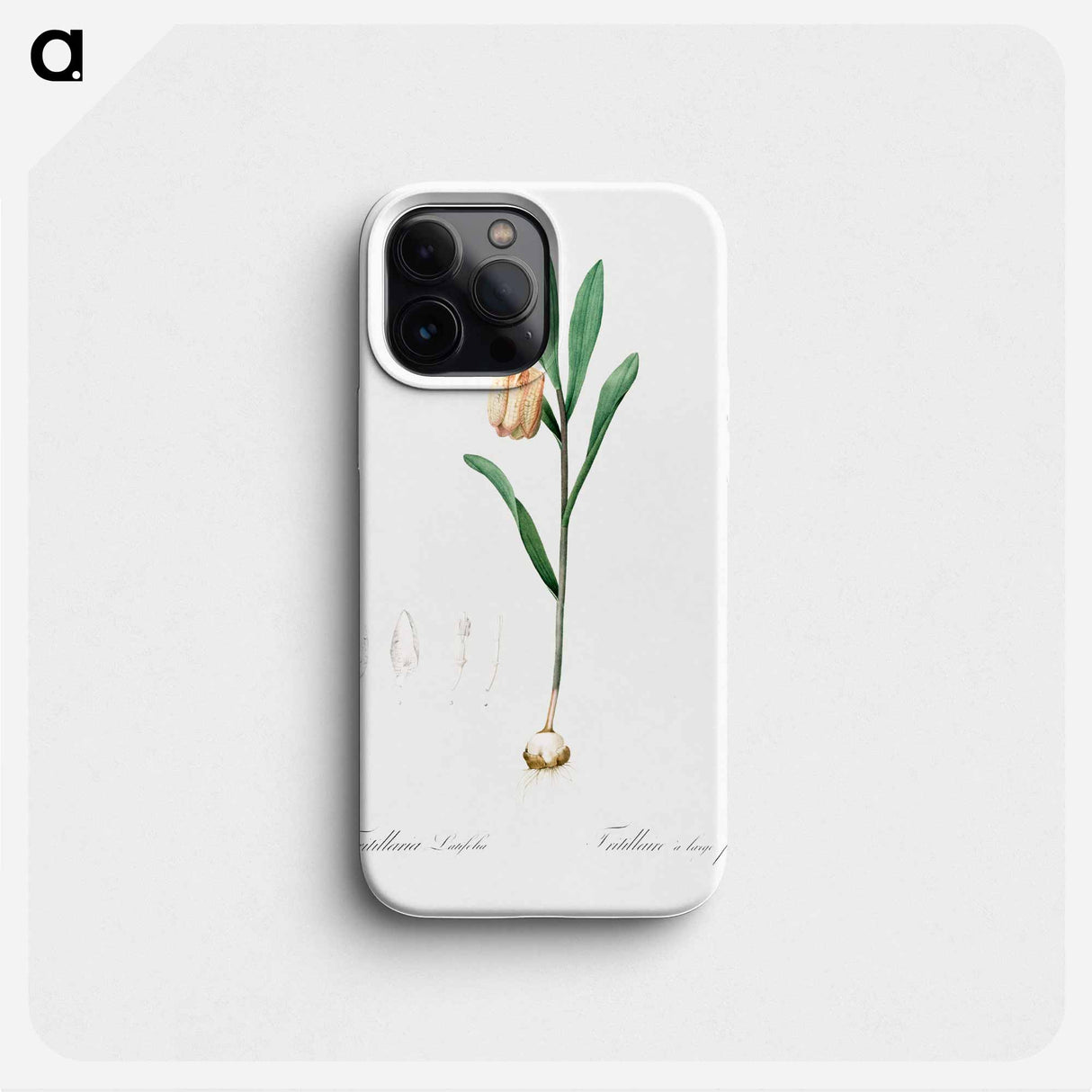 Fritillaria latifolia illustration - Pierre Joseph Redouté Phone Case.