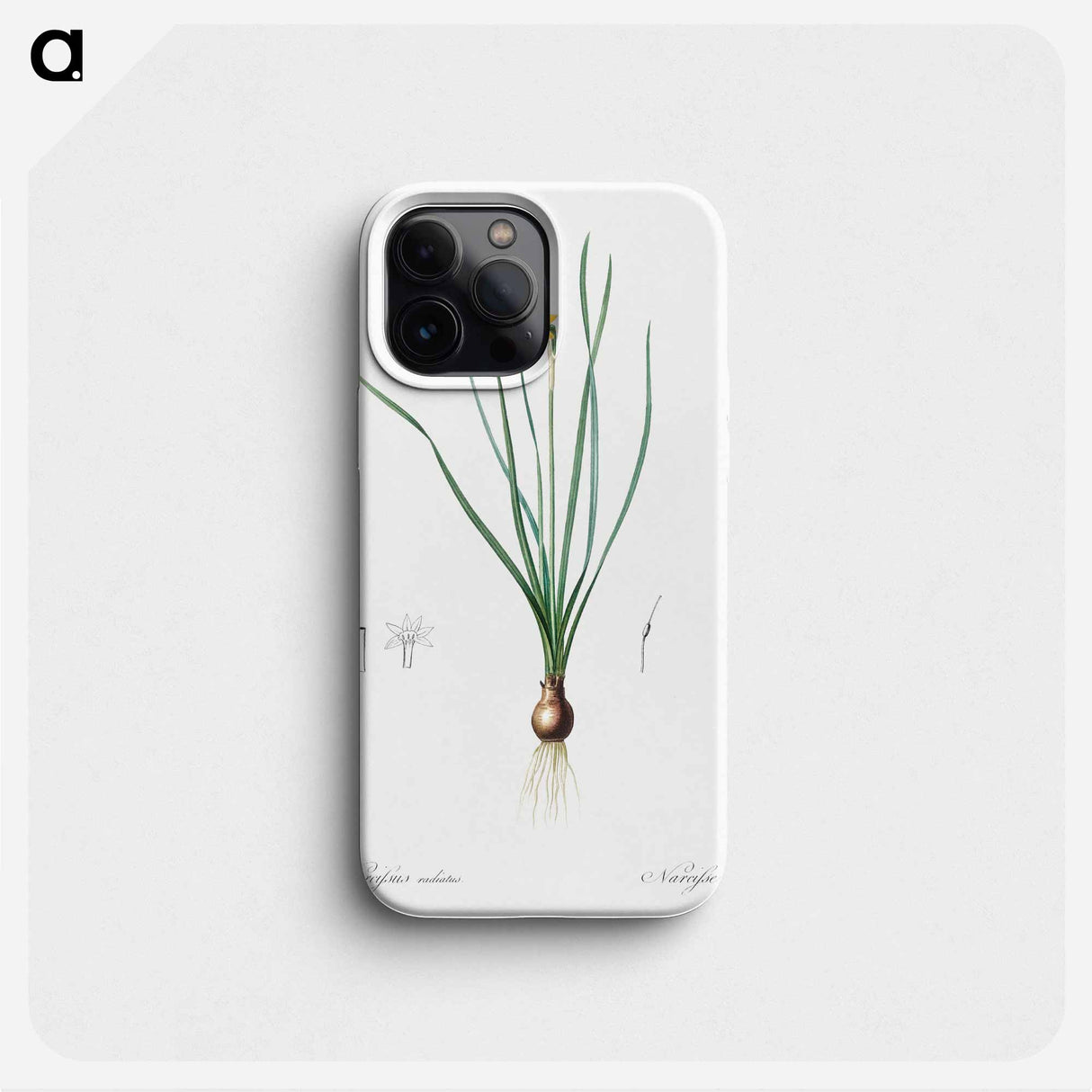 Rush-leaf jonquil illustration - Pierre Joseph Redouté Phone Case.