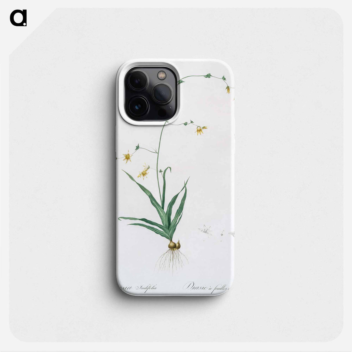 Diasia iridifolia illustration - Pierre Joseph Redouté Phone Case.