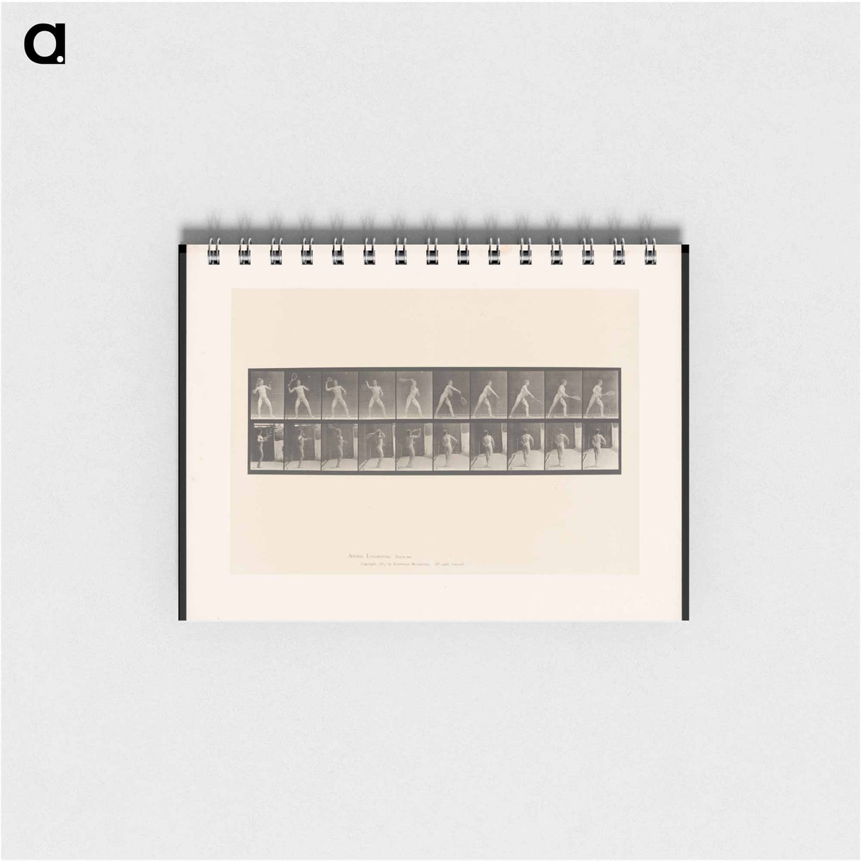 アートメモ帳-Man Throwing a Ball
- エドワード マイブリッジ Memo.