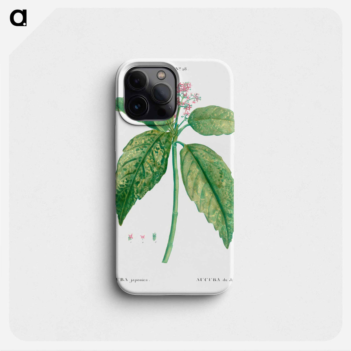 Japanese laurel (Aucuba Japonica) - Pierre Joseph Redouté Phone Case.