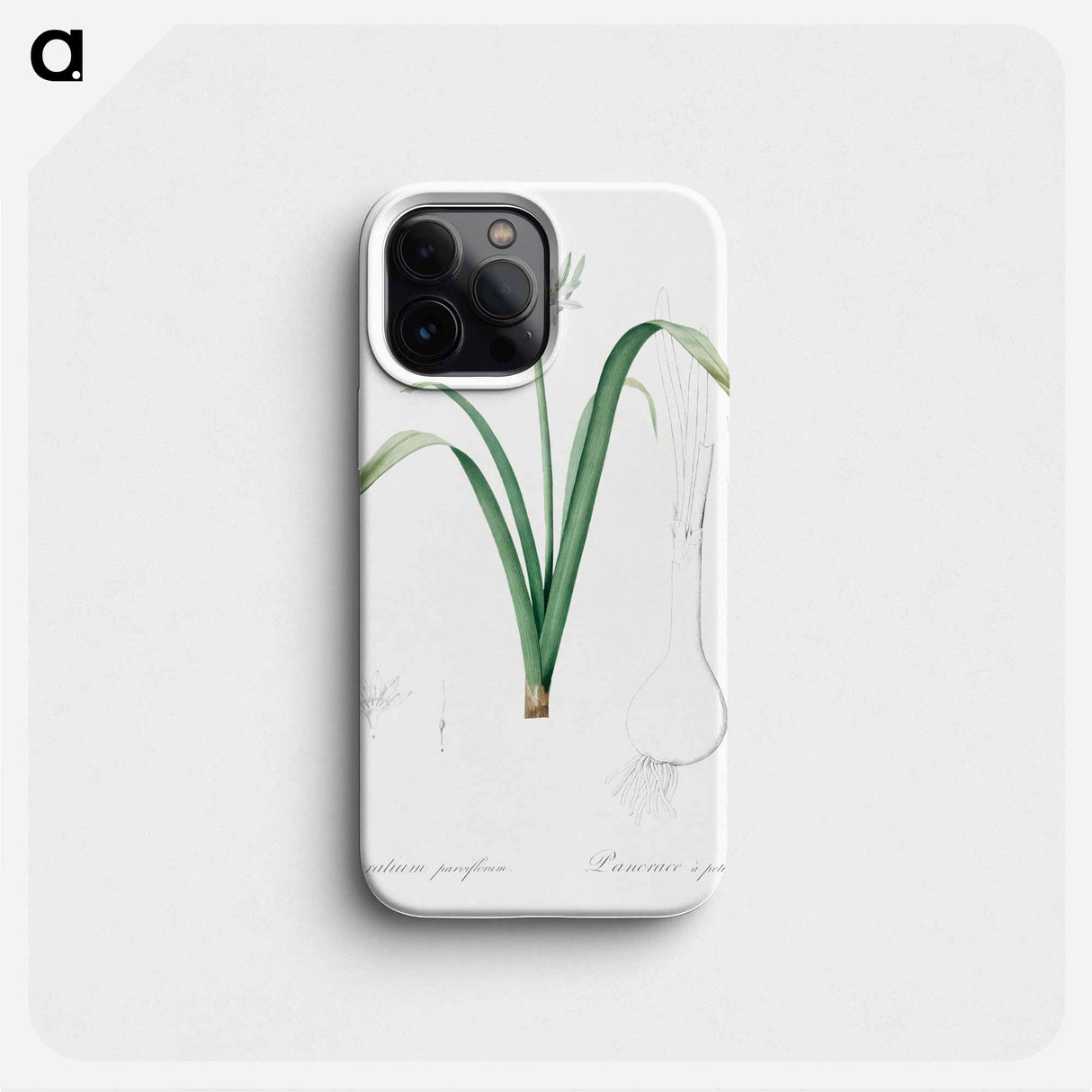 Small-flowered pancratium illustration - Pierre Joseph Redouté Phone Case.