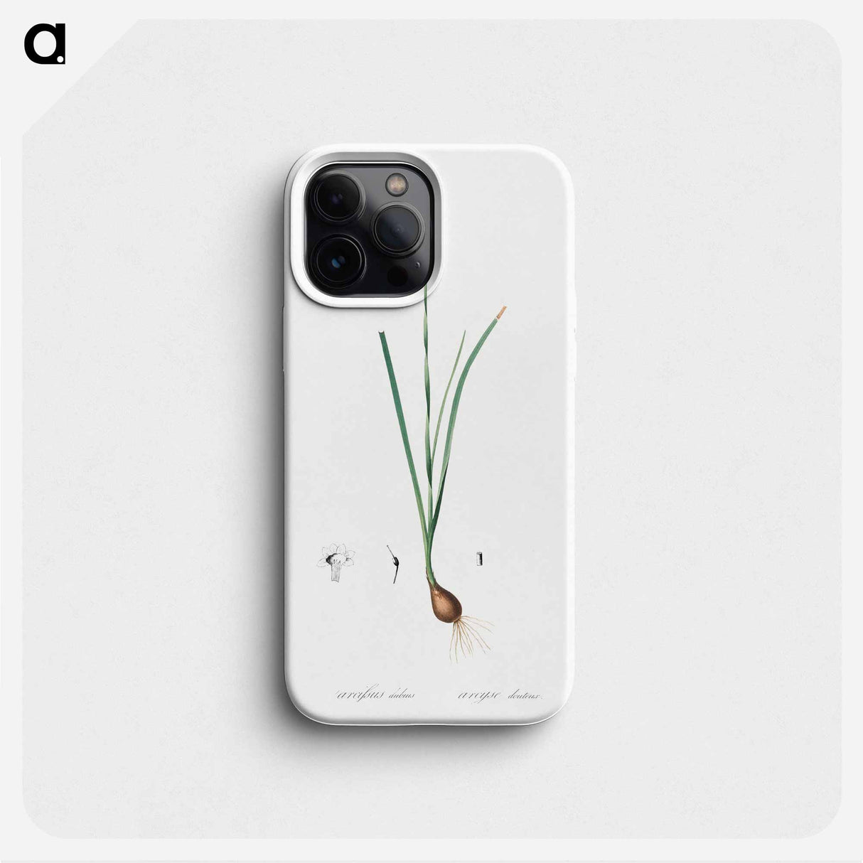 Species daffodil illustration - Pierre Joseph Redouté Phone Case.