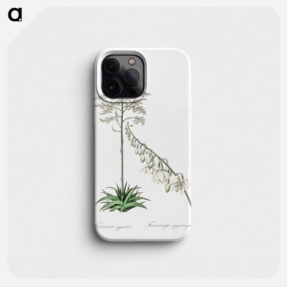 Giant cabuya illustration - Pierre Joseph Redouté Phone Case.
