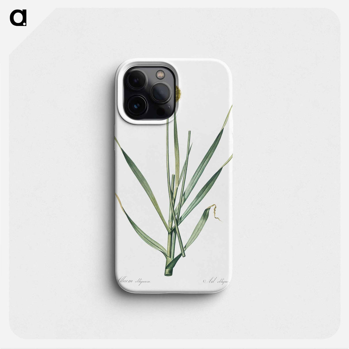 Lopsided onion illustration from Les liliacées - Pierre Joseph Redouté Phone Case.