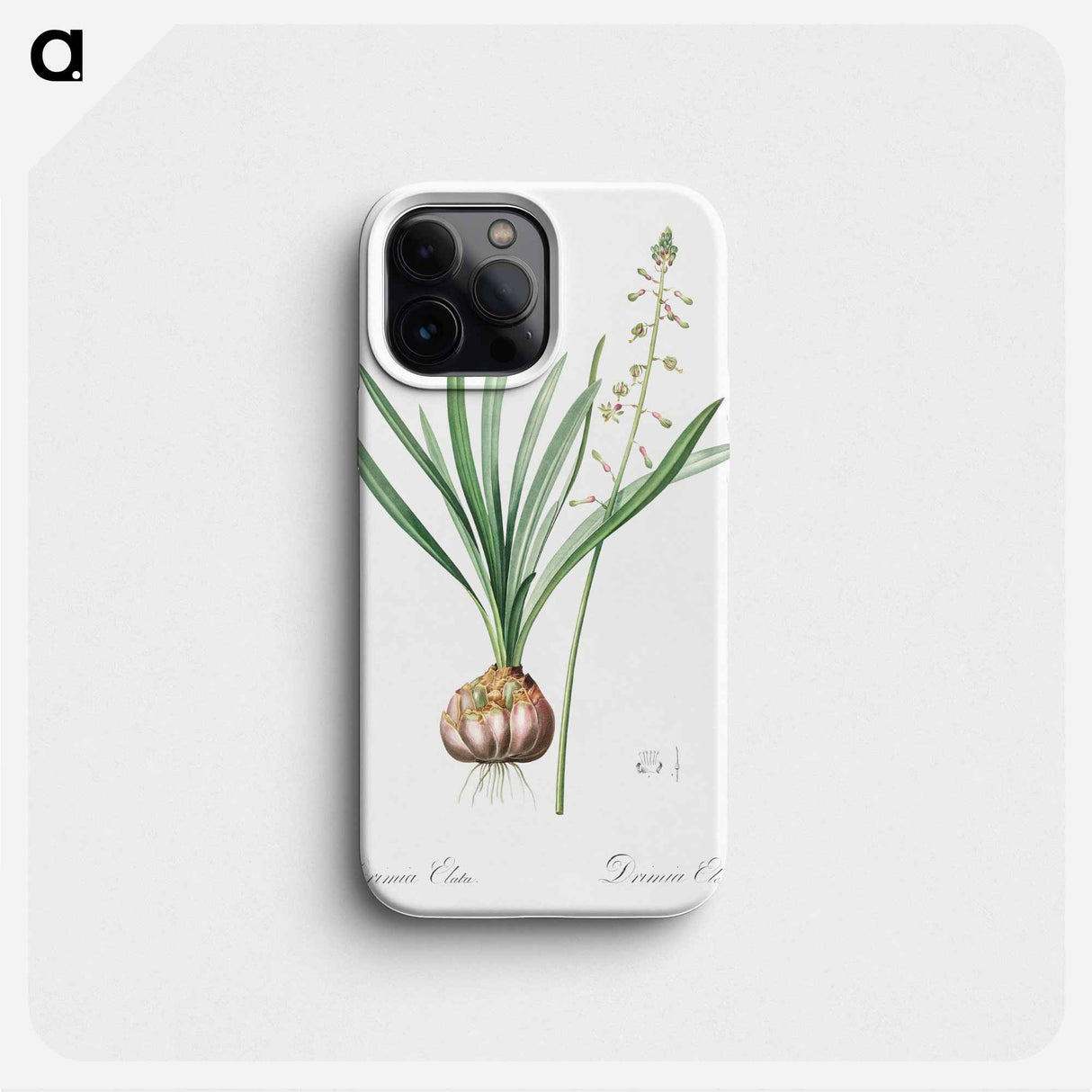 Satin squill illustration - Pierre Joseph Redouté Phone Case.