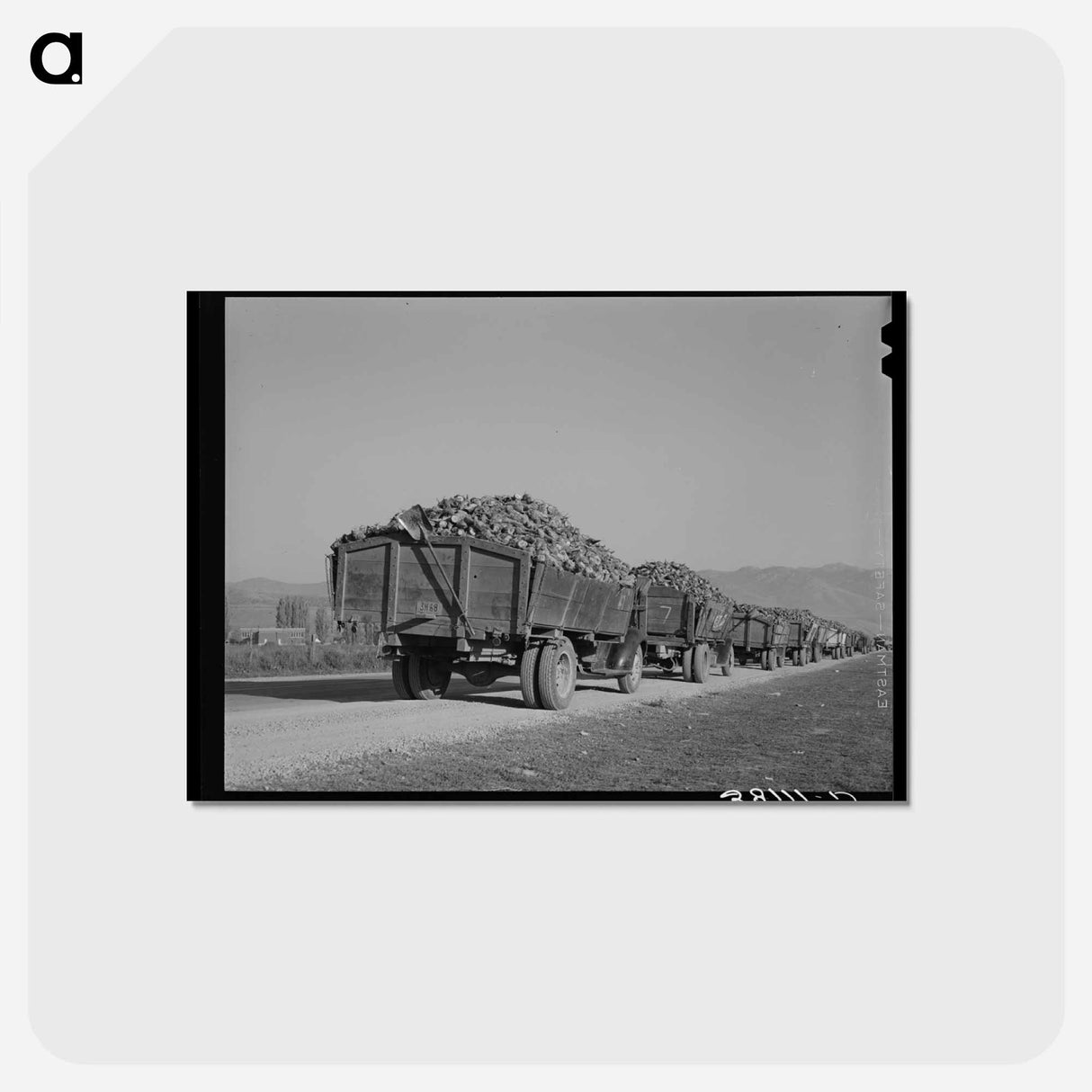 アートポストカード-Sugar Beet Trucks, Lewiston
- ラッセル リー Postcard.