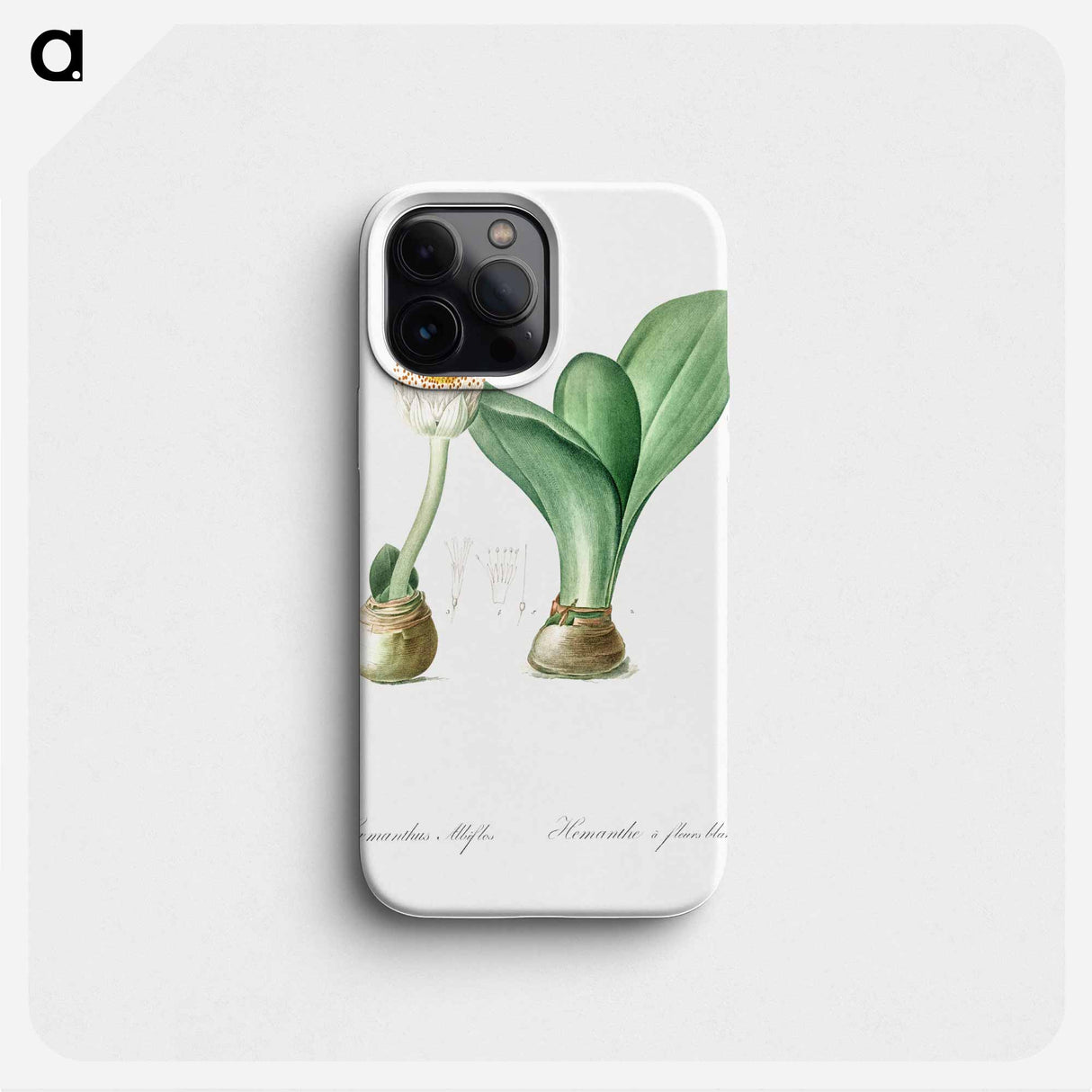 Paintbrush illustration from Les liliacées - Pierre-Joseph Redouté Phone Case.