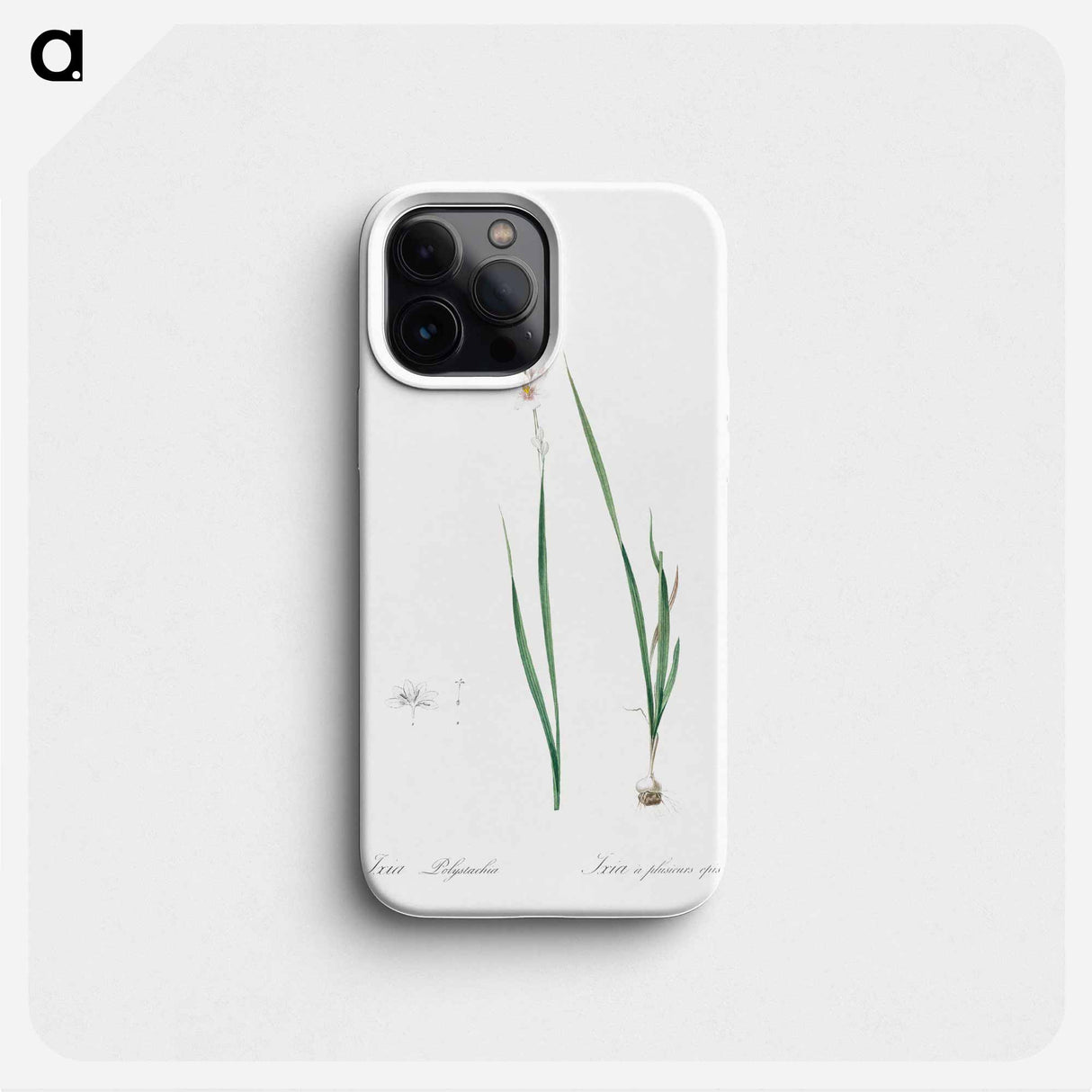 Ixia polystachia - Pierre Joseph Redouté Phone Case.