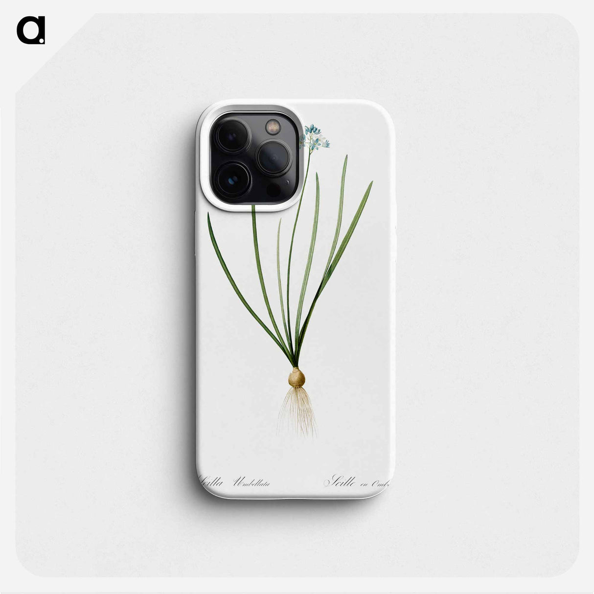 Spring squill illustration - Pierre Joseph Redouté Phone Case.