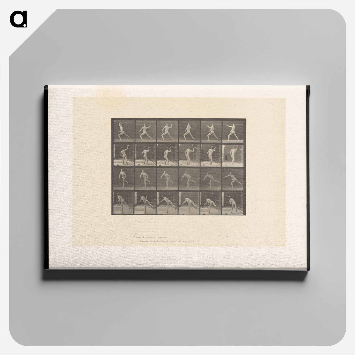 アートパネル-Javelin Thrower
- エドワード マイブリッジ Canvas.