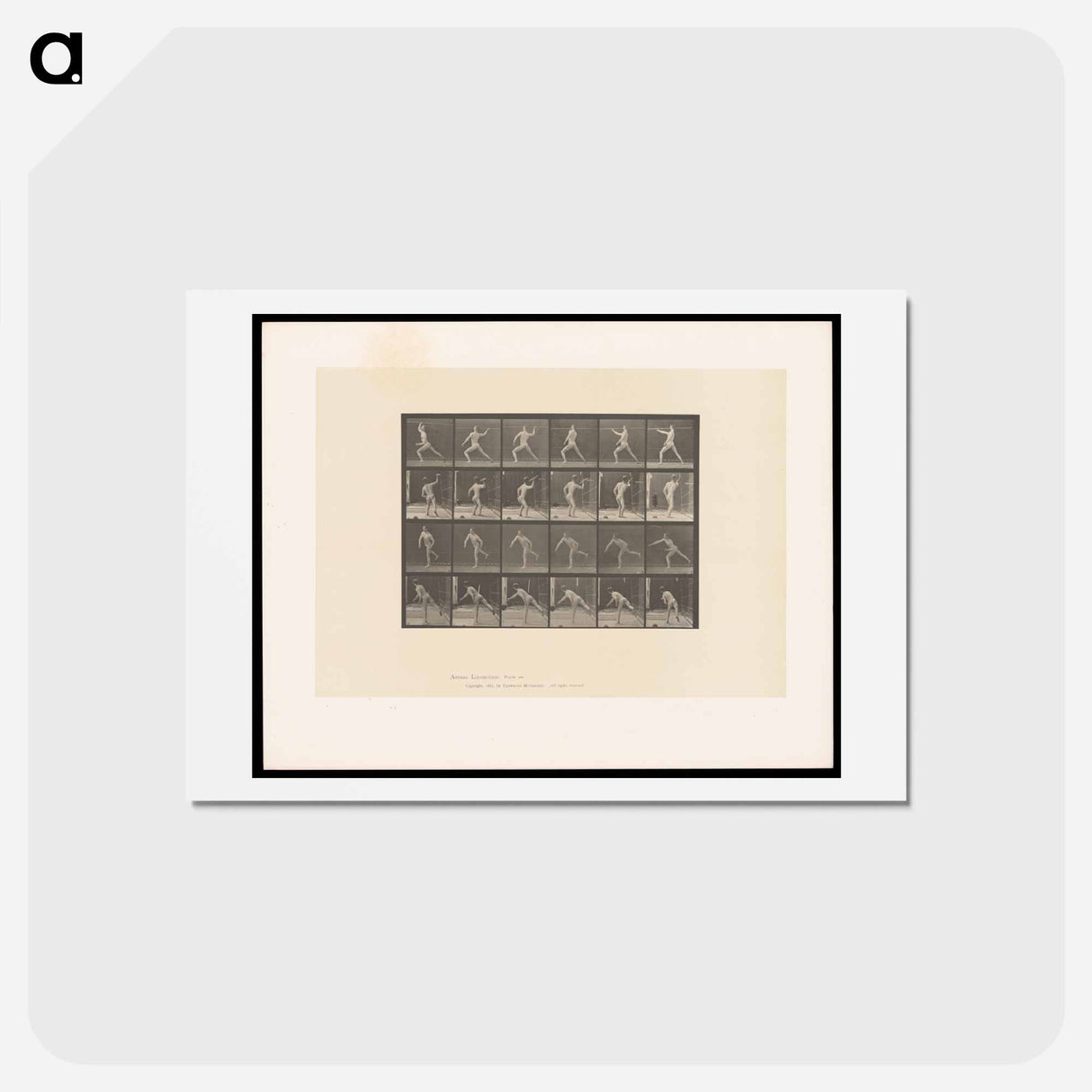 アートポストカード-Javelin Thrower
- エドワード マイブリッジ Postcard.